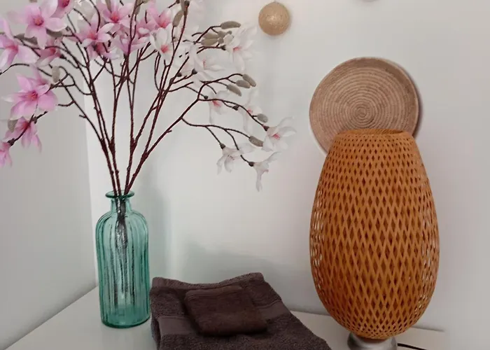 Studio Jardin